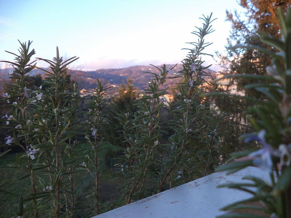Apartment Montecatini-Terme Near Firenze, Lucca, Pisa Номер фото